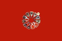柳州市融安回收红酒
